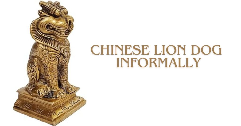 chinese lion dog informally
